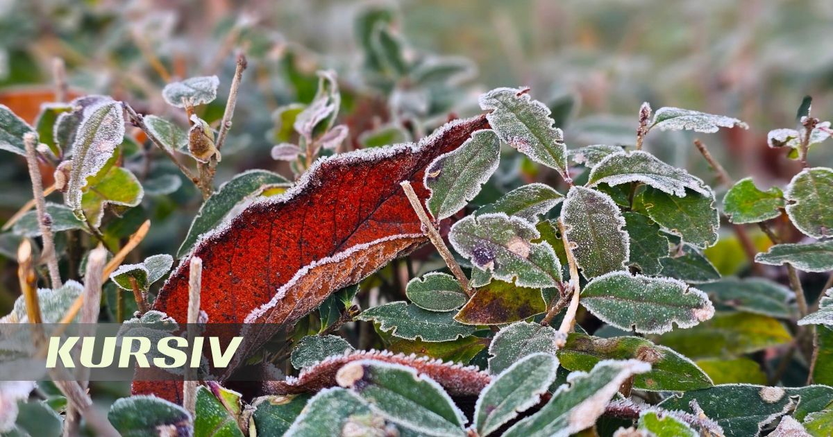 Night frosts and strong wind expected in Kazakhstan