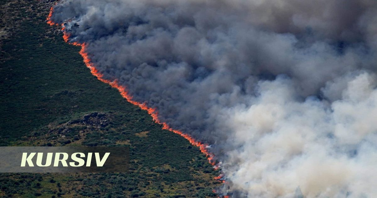 Forest fires hit three regions of Kazakhstan