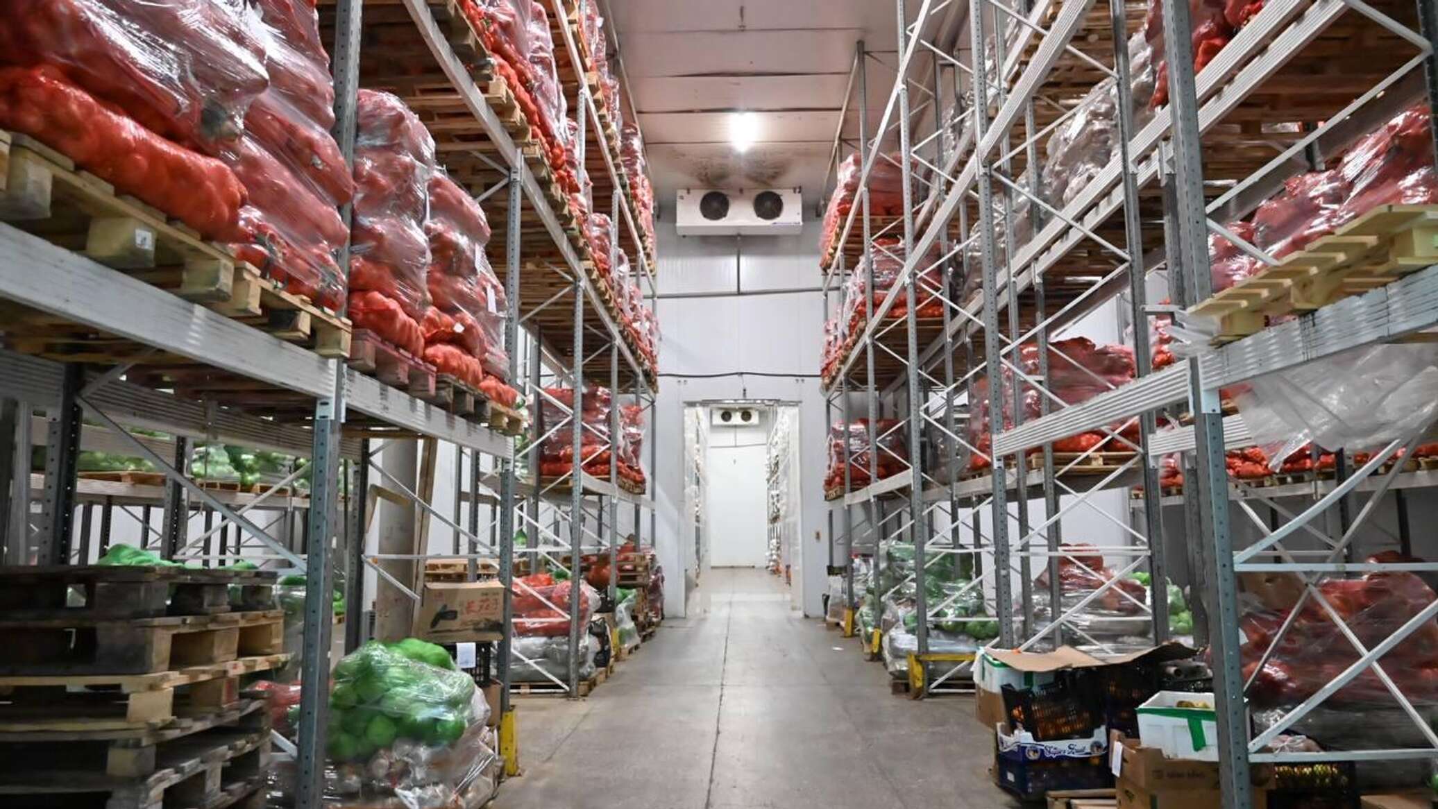Kazakhstan Commissions 95 Vegetable Storage Facilities in Three Years