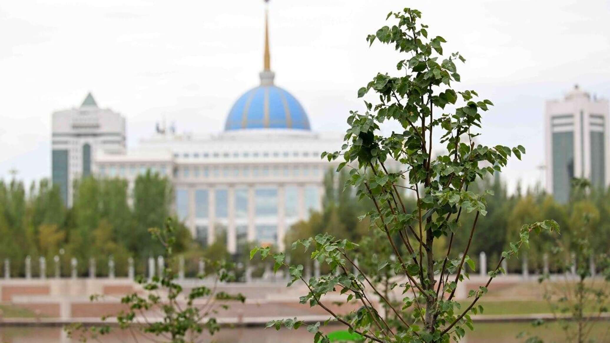 Қорғаныс министрлігін кешенді тексеру жөніндегі комиссия құрылды