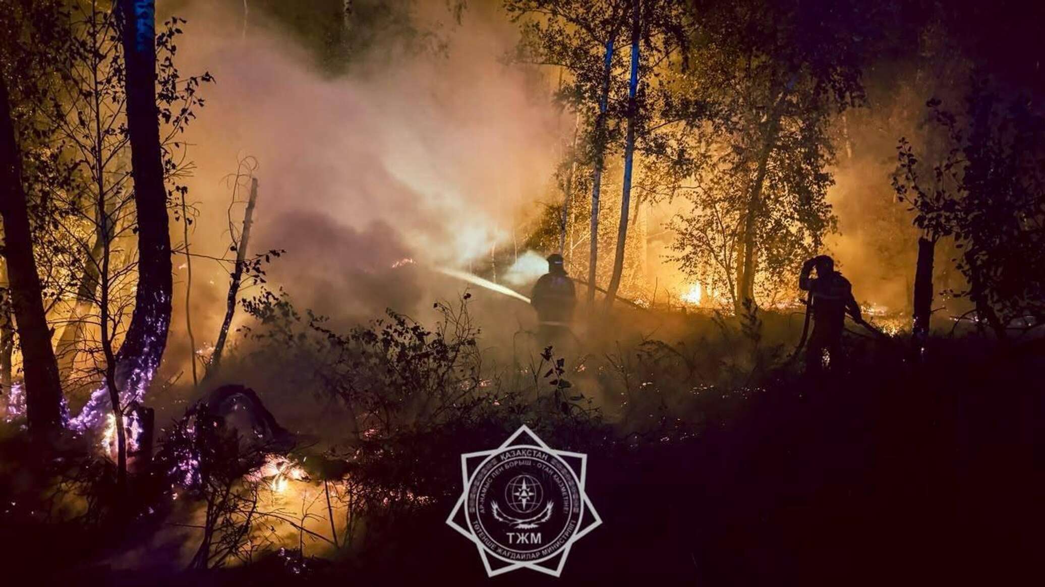 Fire in Kostanay Region: 850 hectares affected