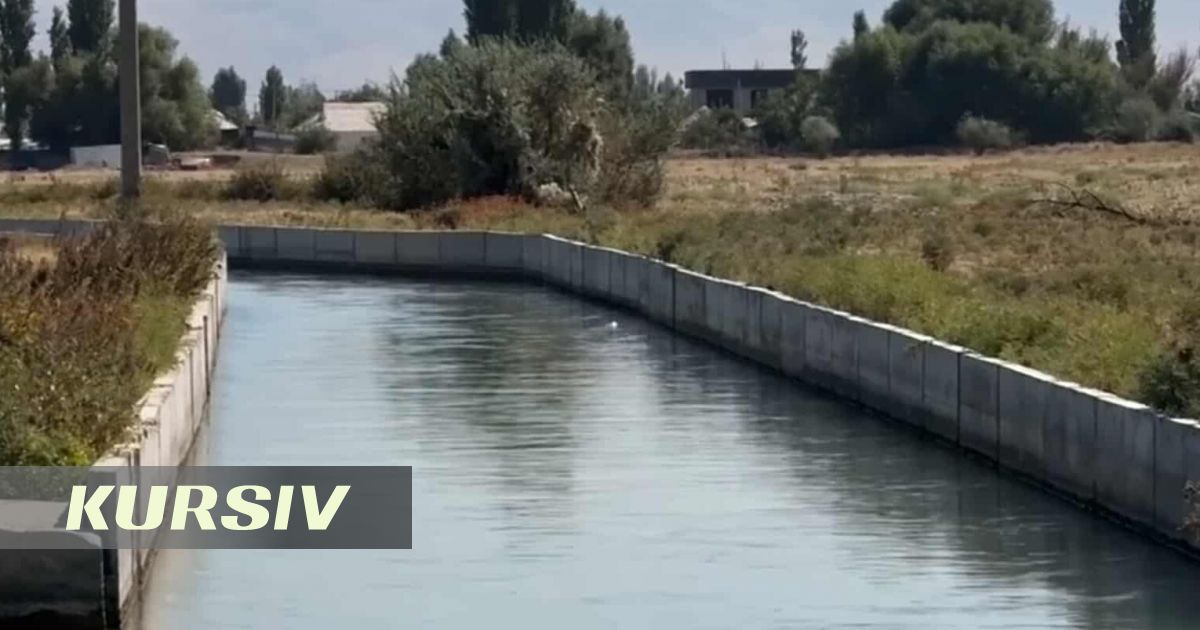 В канале на окраине Тараза нашли тело мертвого младенца