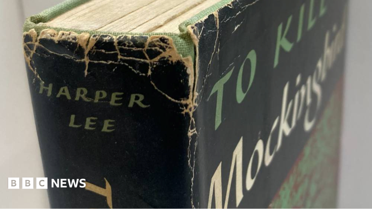To Kill A Mockingbird романының алғашқы басылымы Лондондағы қайырымдылық дүкенінен табылды