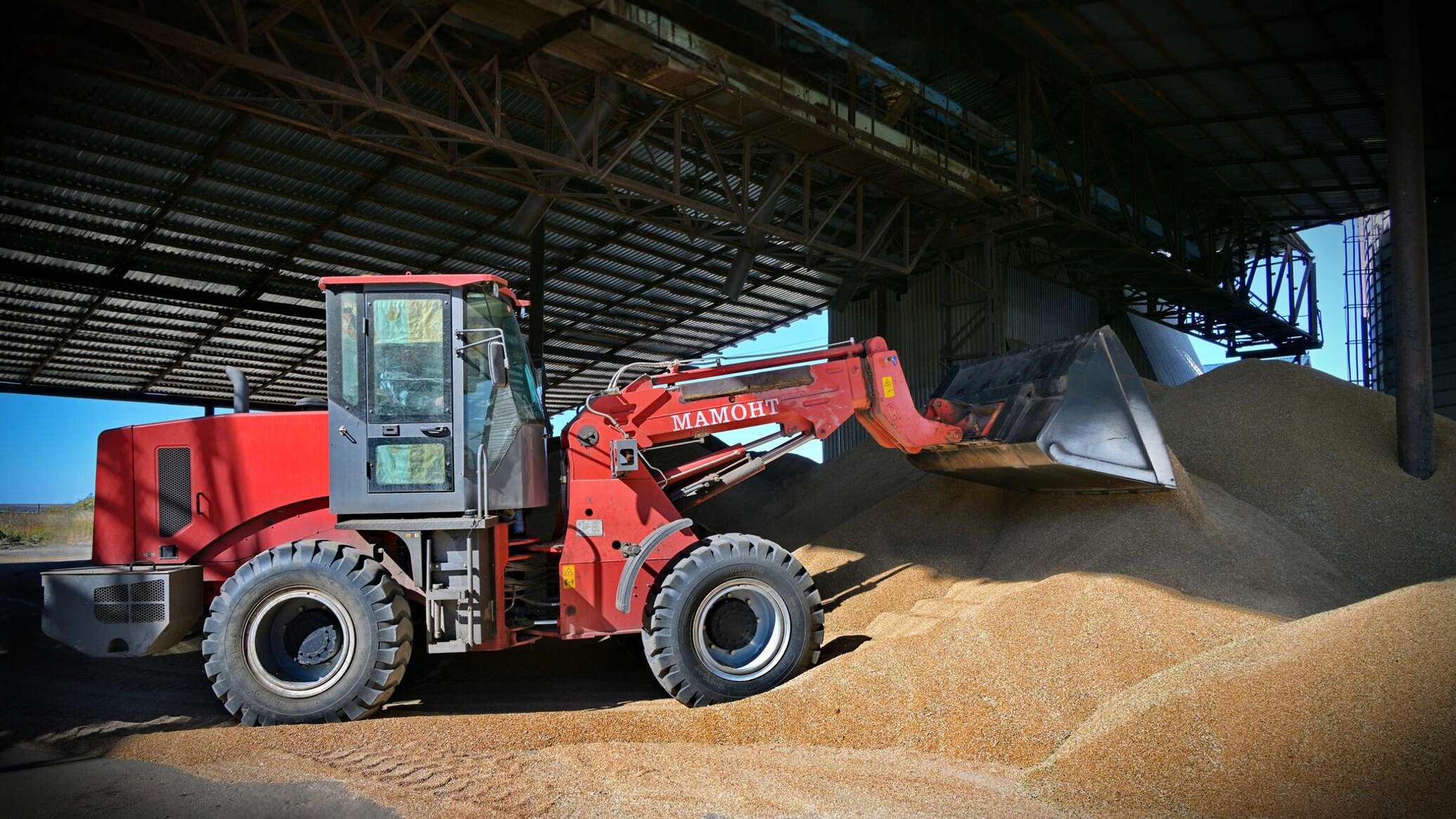Government sets wheat purchase price for 2026