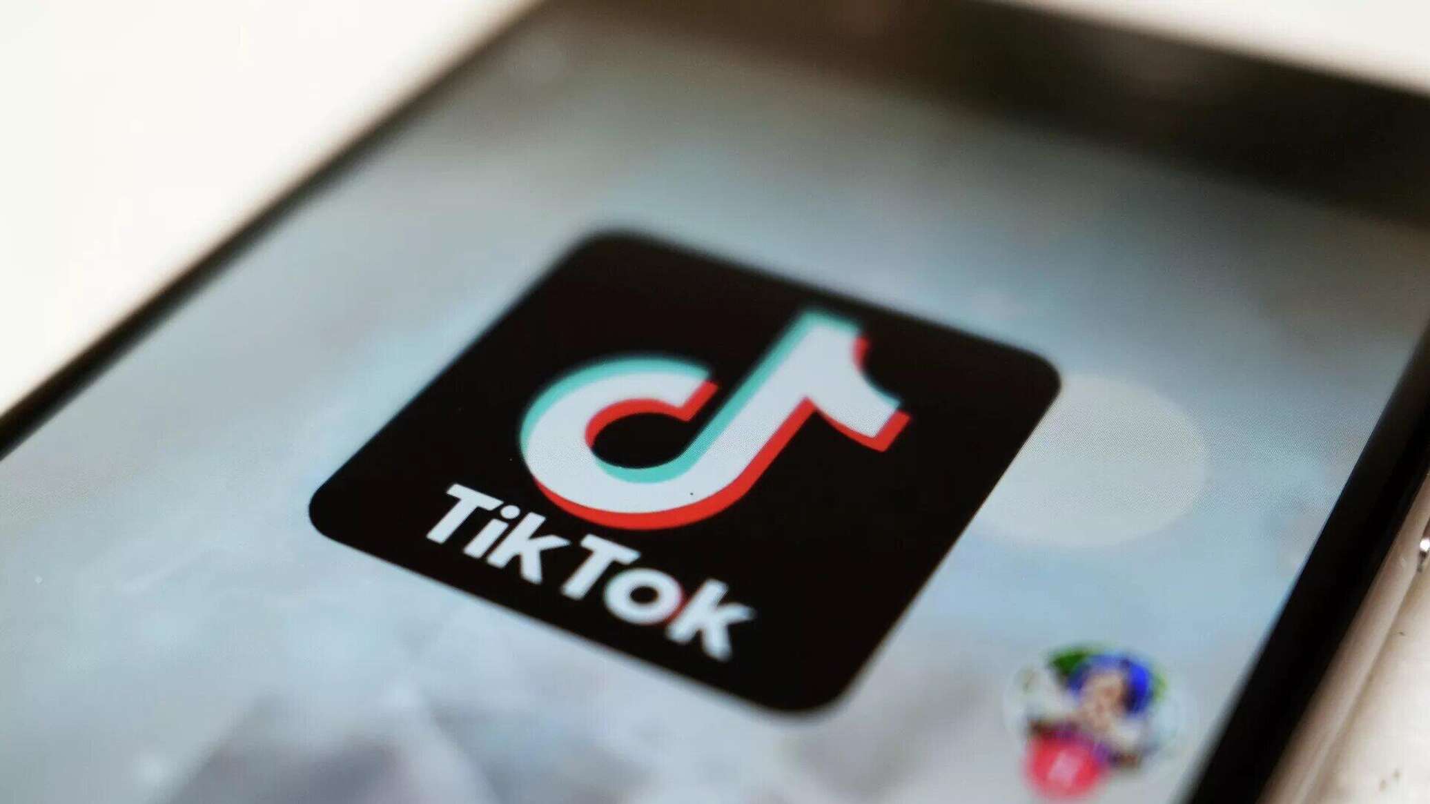 Resident of Zhambyl Region Punished for Abusing Cat During TikTok Livestream