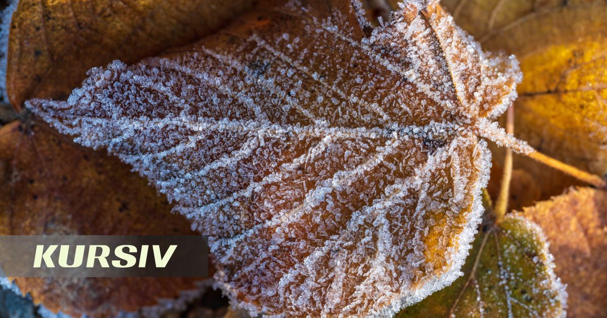 Storm warning for October 3: snow, ice and squalls across 17 regions