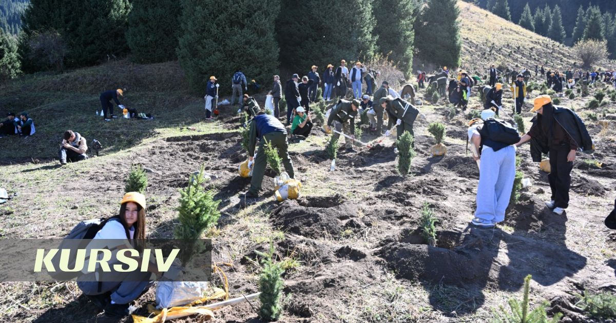 Almaty youth planted 2,000 trees at Kok-Zhailau