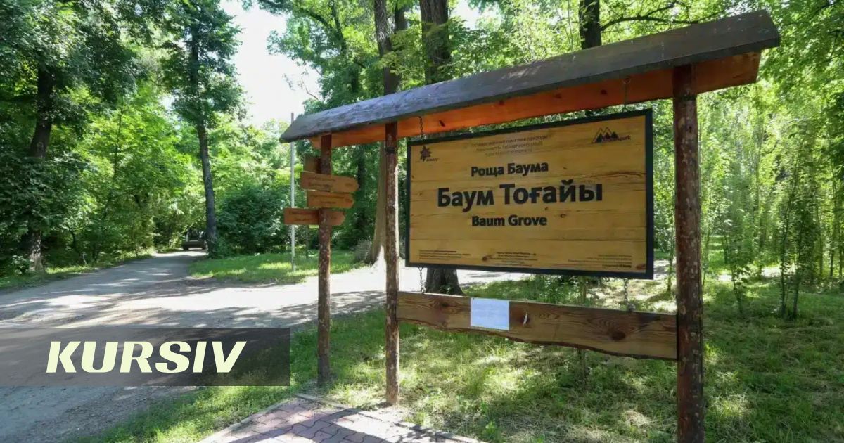 Almaty trial reveals Bokaev's illegal logging scheme in Bauma grove