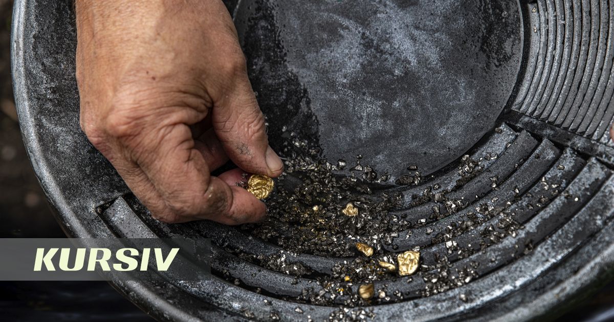 Алматылық кәсіпкердің компаниясы Шығыс Қазақстанда алтын іздейді