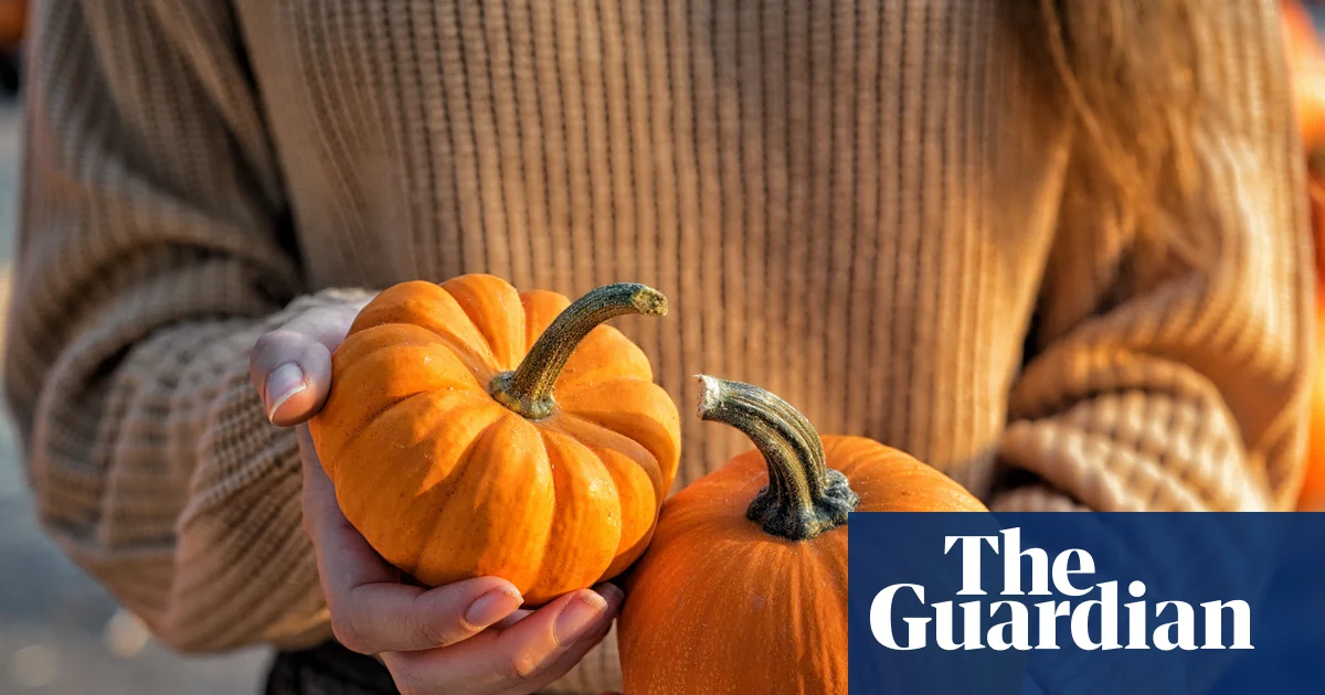 Smaller pumpkins expected this Halloween after drought in England