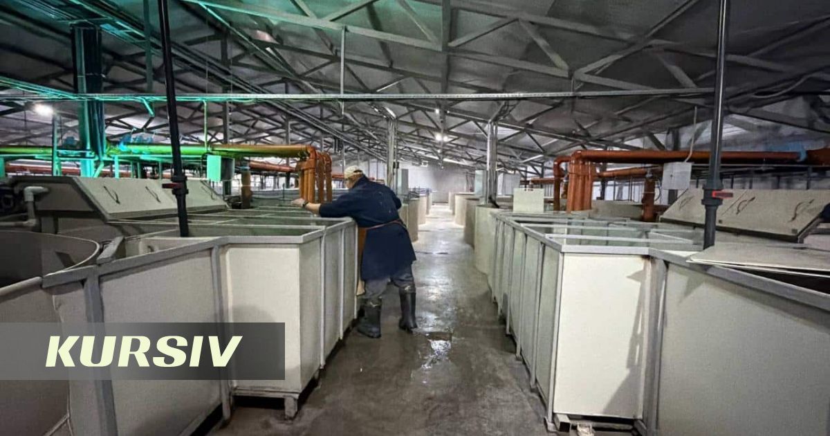 В Акмолинской области построят завод кормов для рыб за 7 млрд тенге