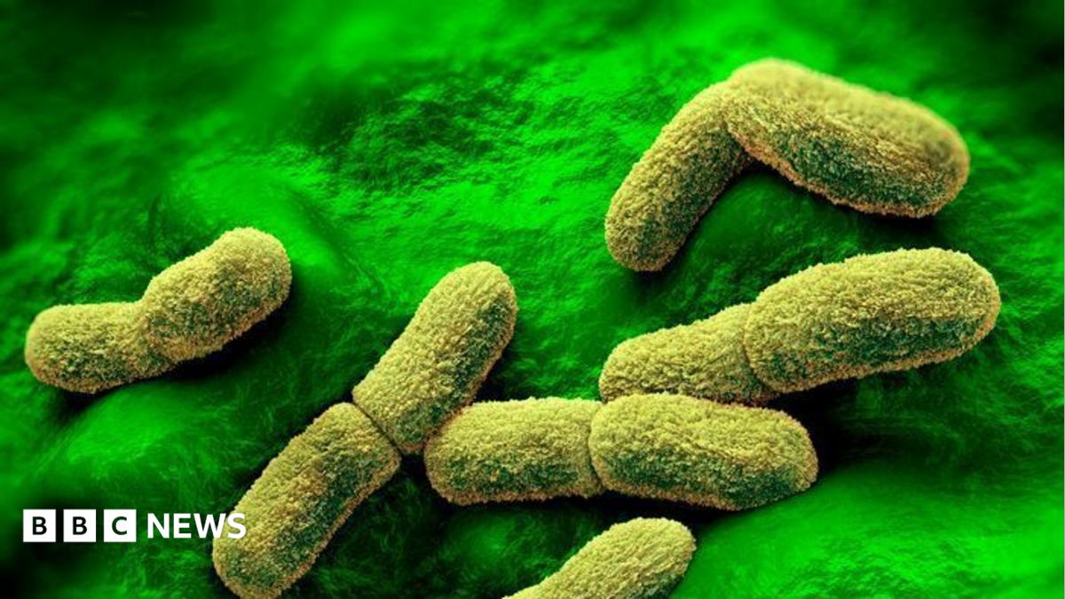 АҚШ Ресейдегі оба зерттеушісінің қайтыс болуын бақылап отыр – Рубио