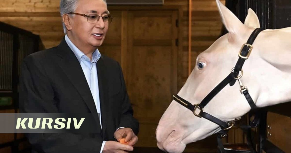 Rare Akzhan horse born in Astana captivates with shimmering coat