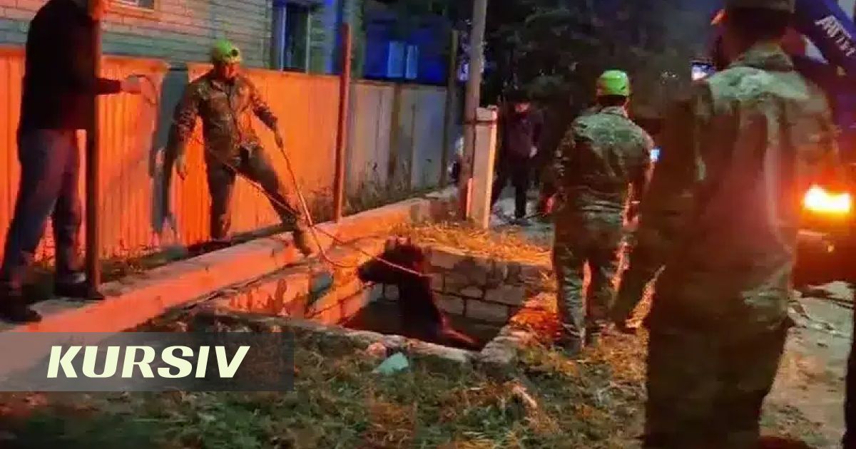 Horse rescued after falling into well in Atyrau