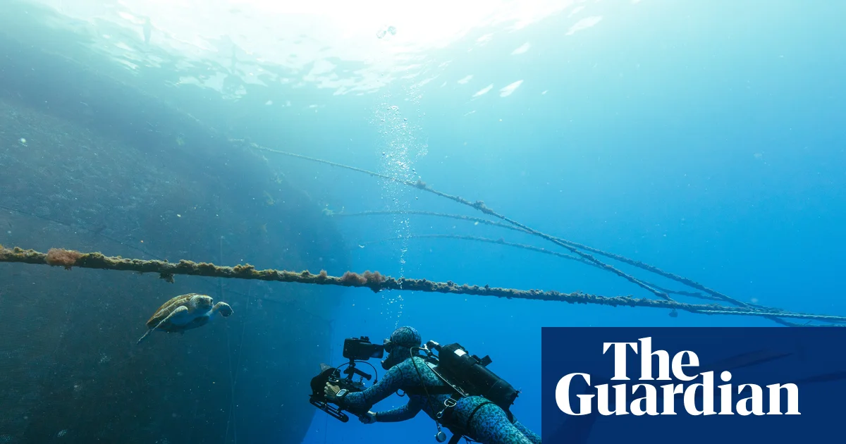 Blue Planet III uses cloudier footage to prove authenticity amid AI boom