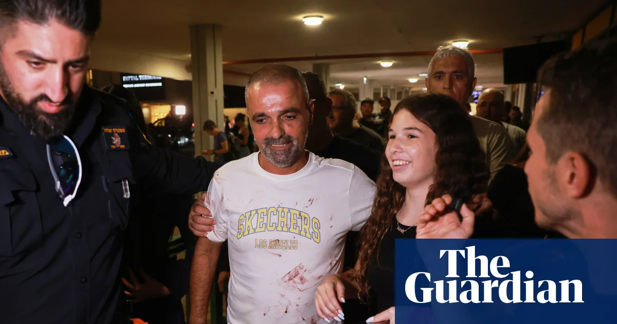 Flydubai flight attack: suicide by plane or terrorism?