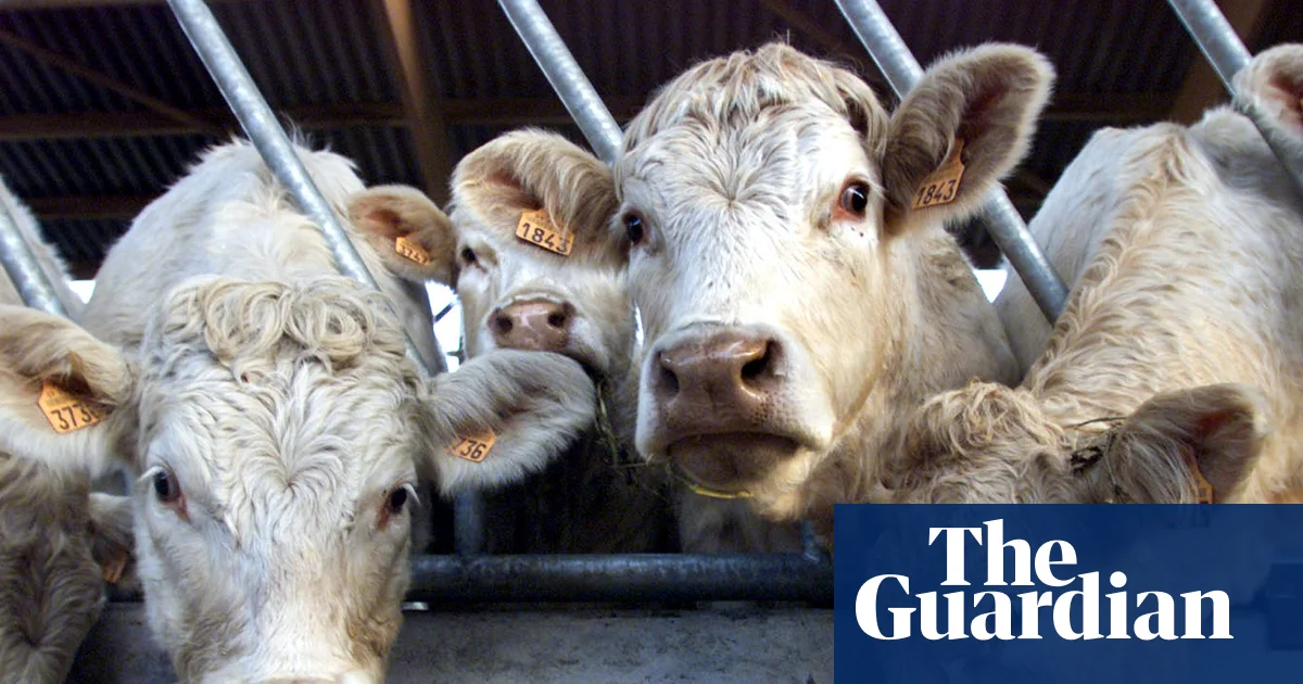 Shamonda virus detected in human for first time in France