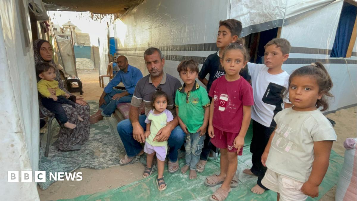 World Food Programme cuts Gaza aid by a third due to funding shortages