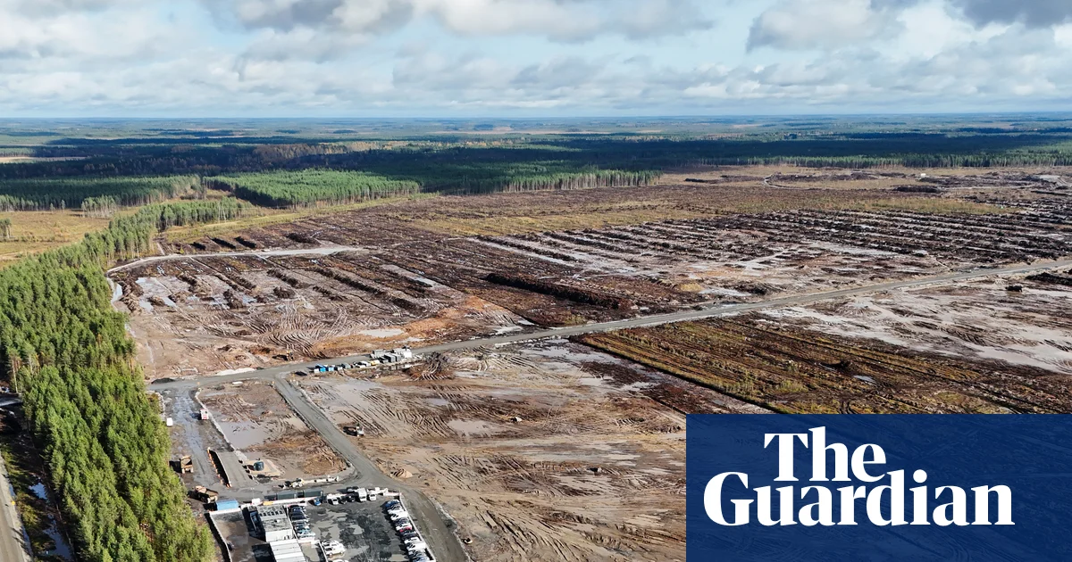Google ordered to halt Finland datacentre work over environmental concerns