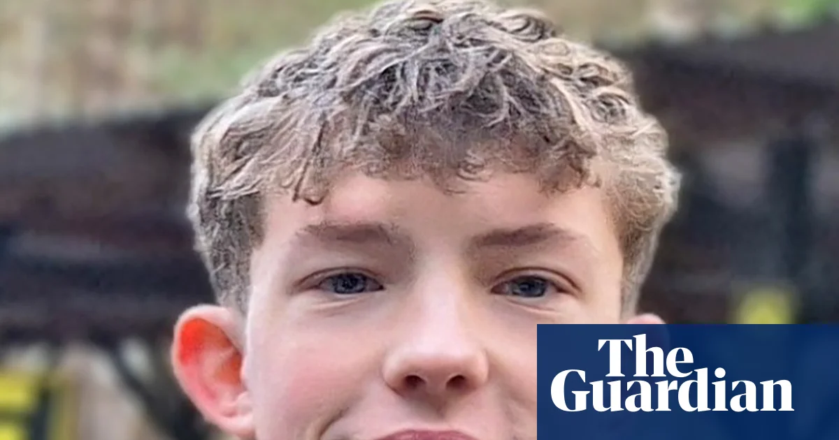 Boy, 17, accidentally shot dead with air rifle at Hampshire house party