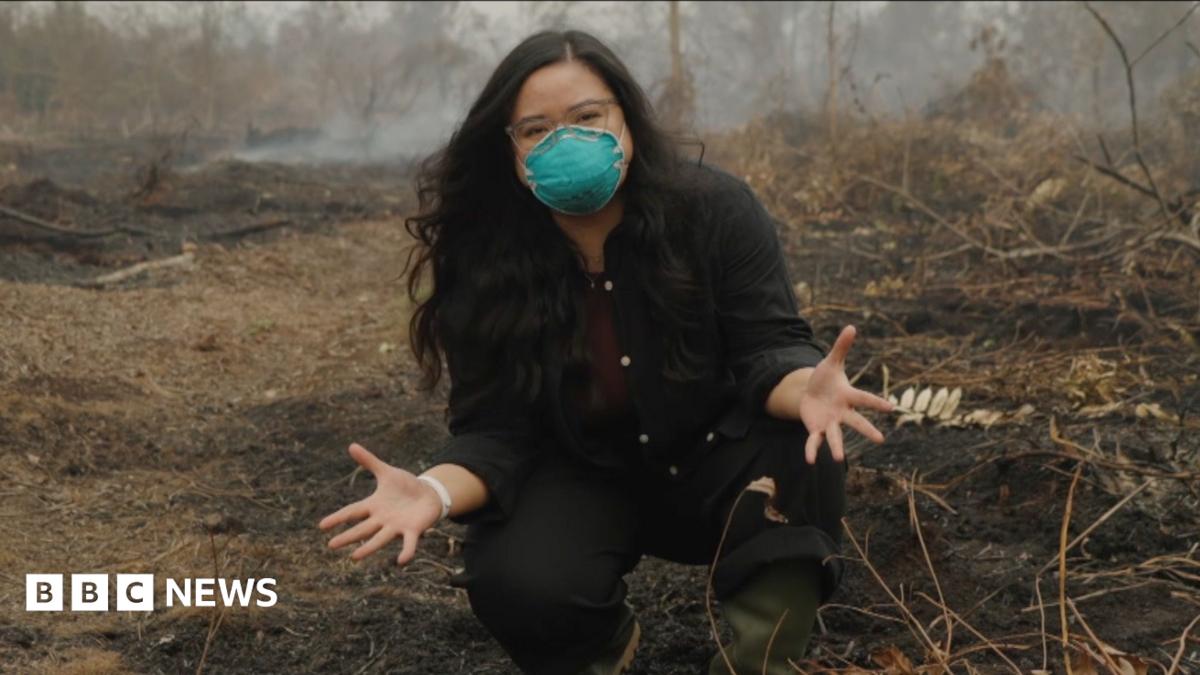 Why are Indonesia's peat fires so severe? BBC reports from Central Kalimantan