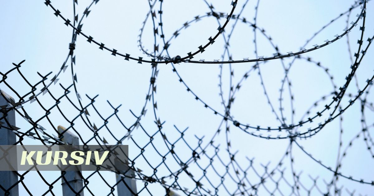 В Кабмине признали бессмысленность тюремных сроков для алиментщиков