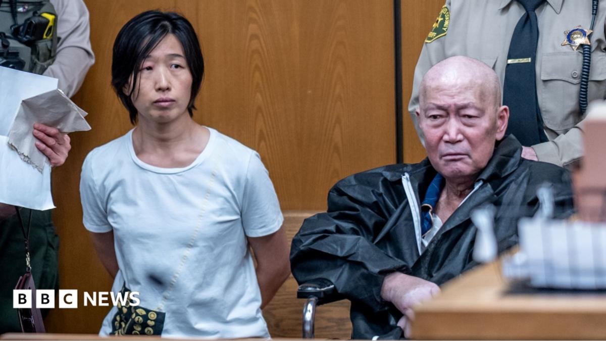 California pair charged with abusing at least 14 surrogate-born children