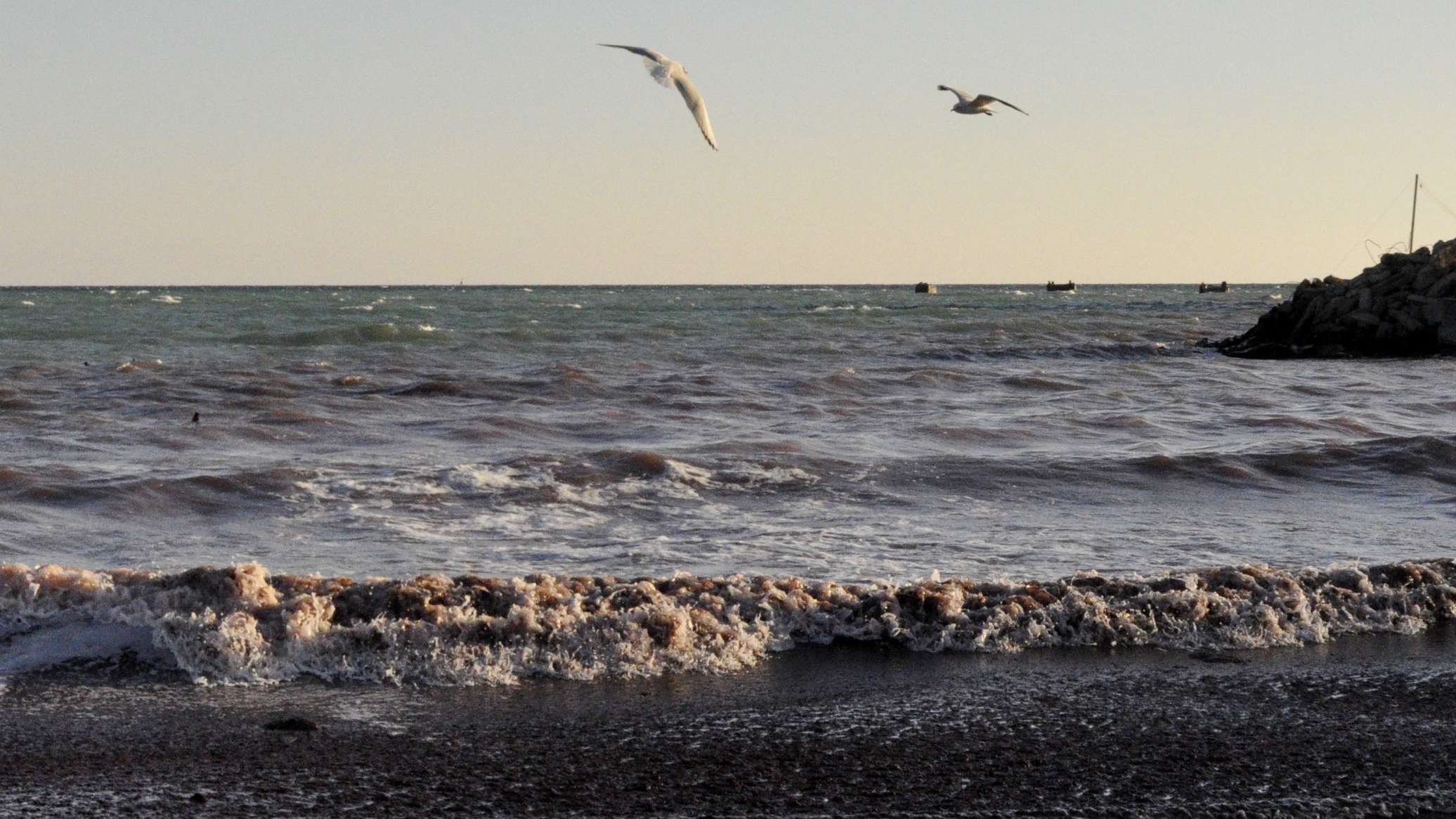 126 detained in Caspian Sea: Border Service of Kazakhstan's NSC operation