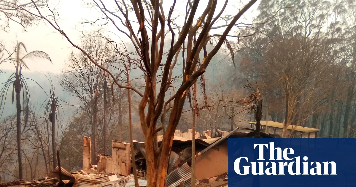 94% of NSW homes destroyed in black summer bushfires were within 100m of vegetation