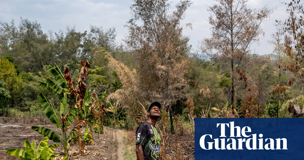 El Niño drought in Papua New Guinea: 8 million people affected, says coalition