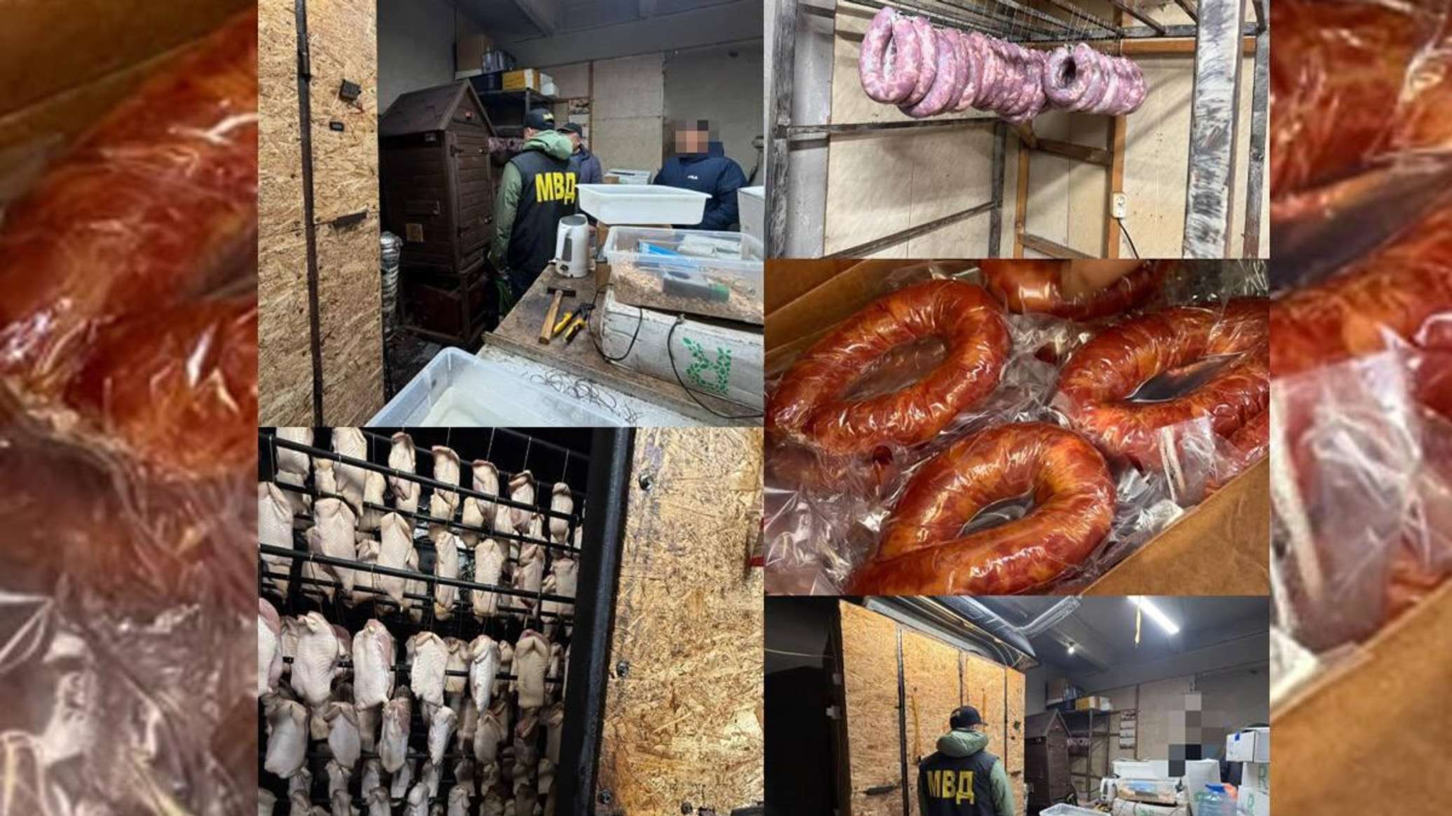 Petropavl resident illegally produced duck meat sausage