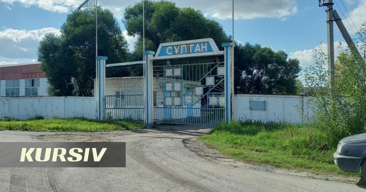 35-year-old worker killed by dough mixer at Petropavl pasta factory