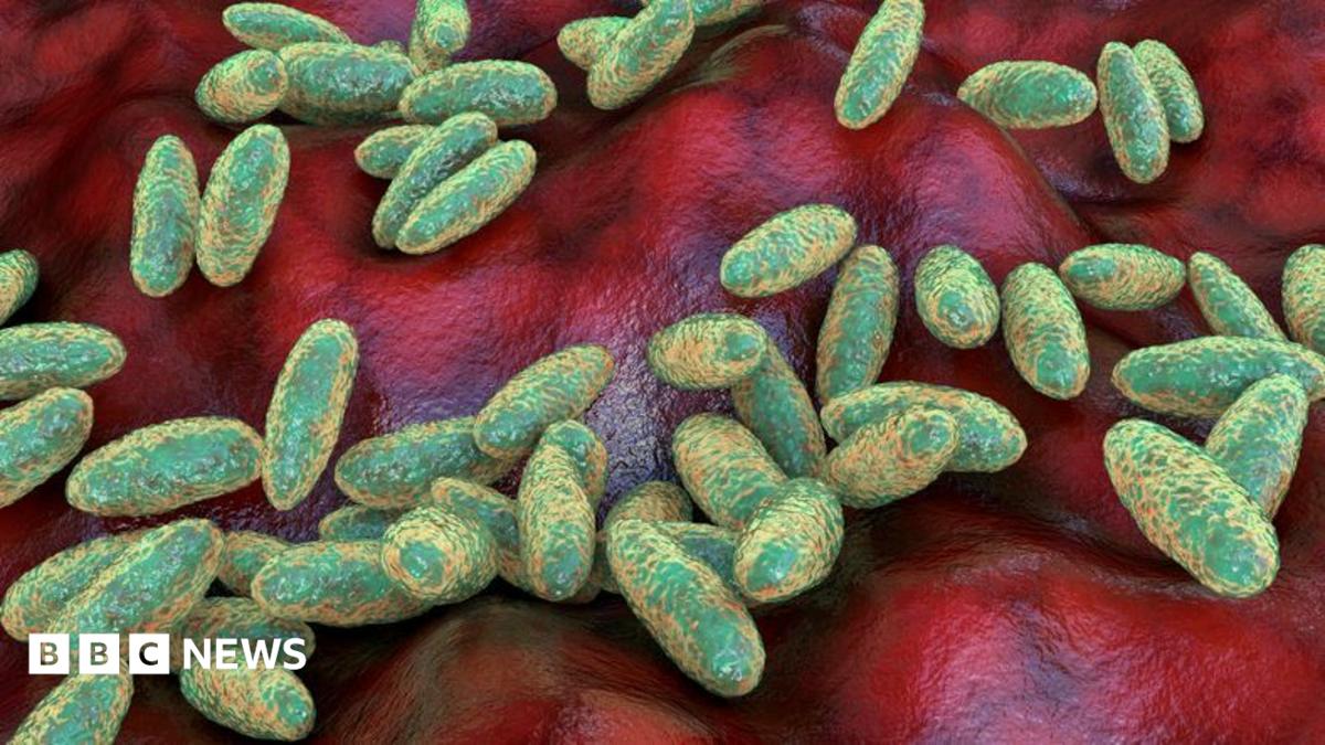 What is pneumonic plague and how does it spread?