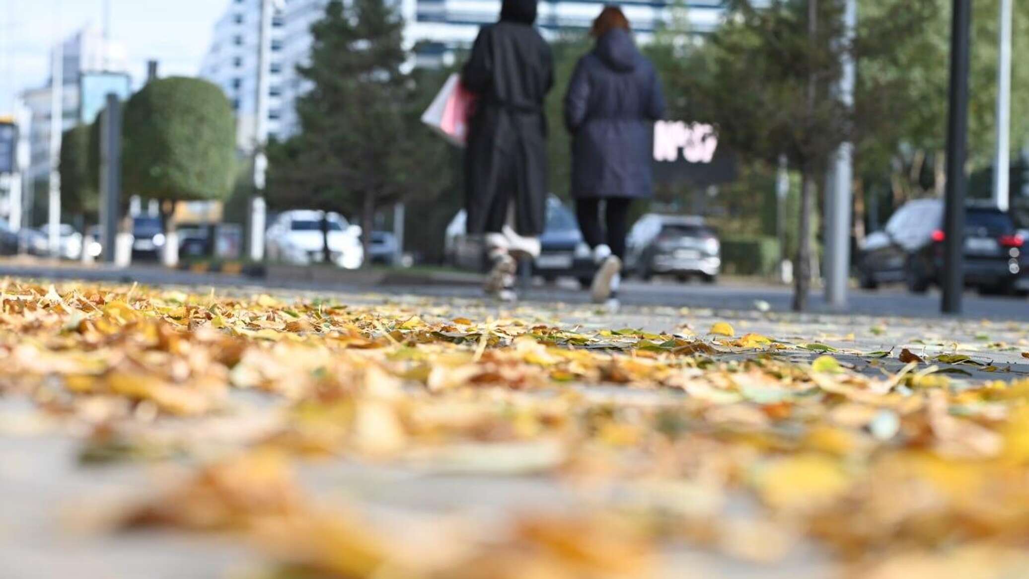 Snow, ice, fog: weather forecast for October 24-26