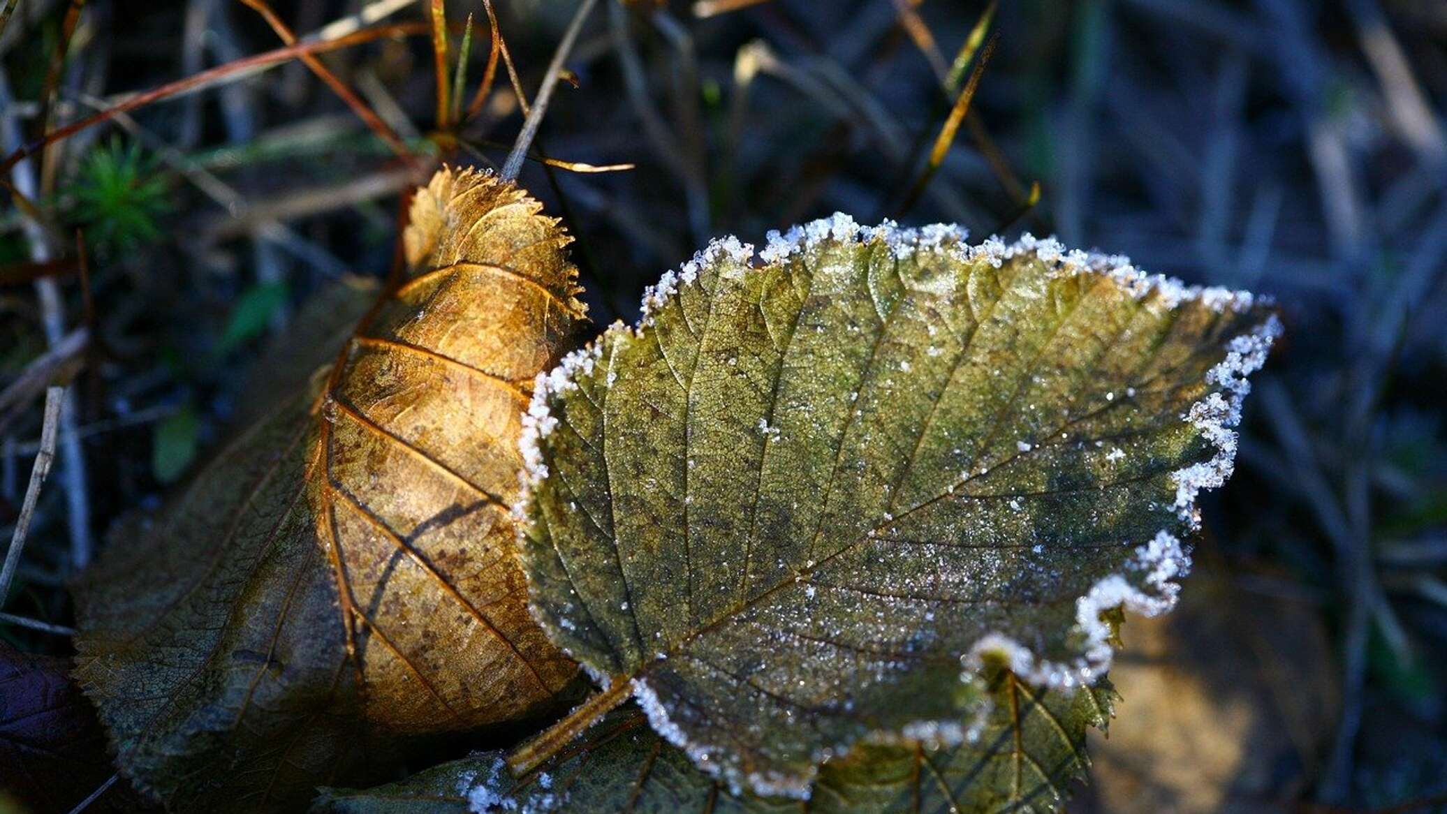 October weather forecast: frost, blizzard, black ice