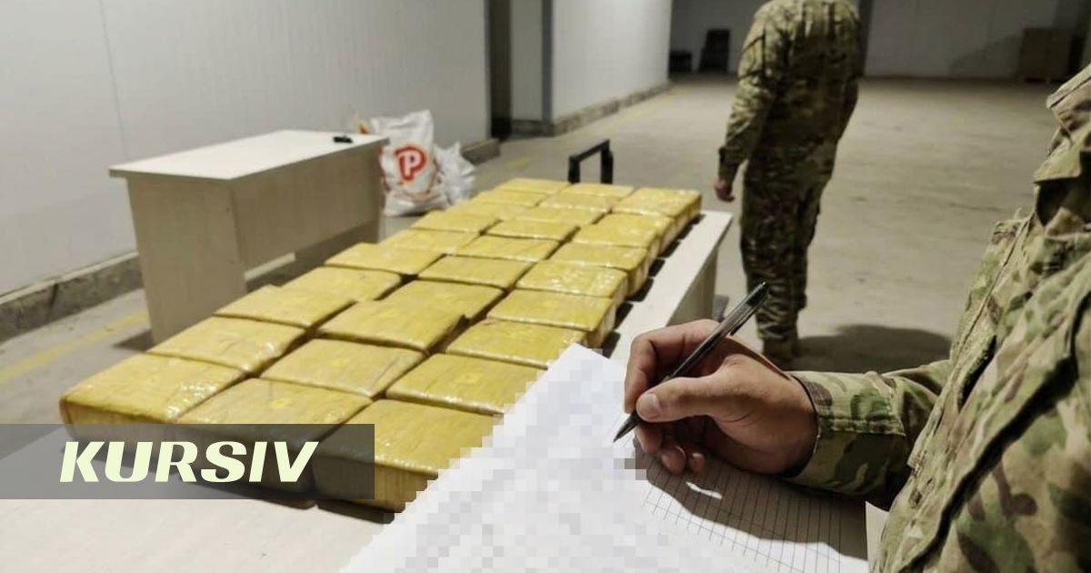 Қазақстан, Ресей және Өзбекстан арнайы қызметтері Ауғанстаннан келетін есірткі арнасын жапты: 30 кг гашиш тәркіленді