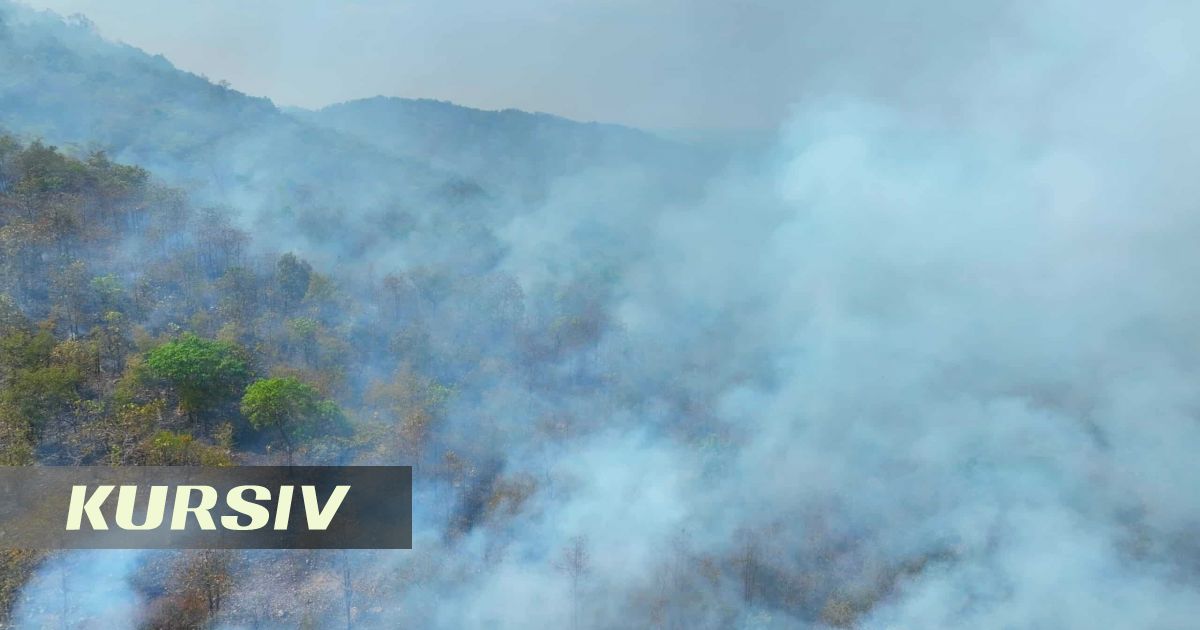 Қазақстанда бір тәулікте үш орман өрті тіркелді