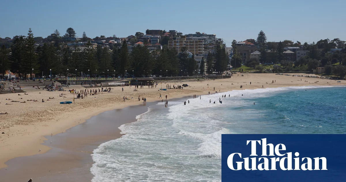 Two Sydney beaches closed after whale carcass washes up
