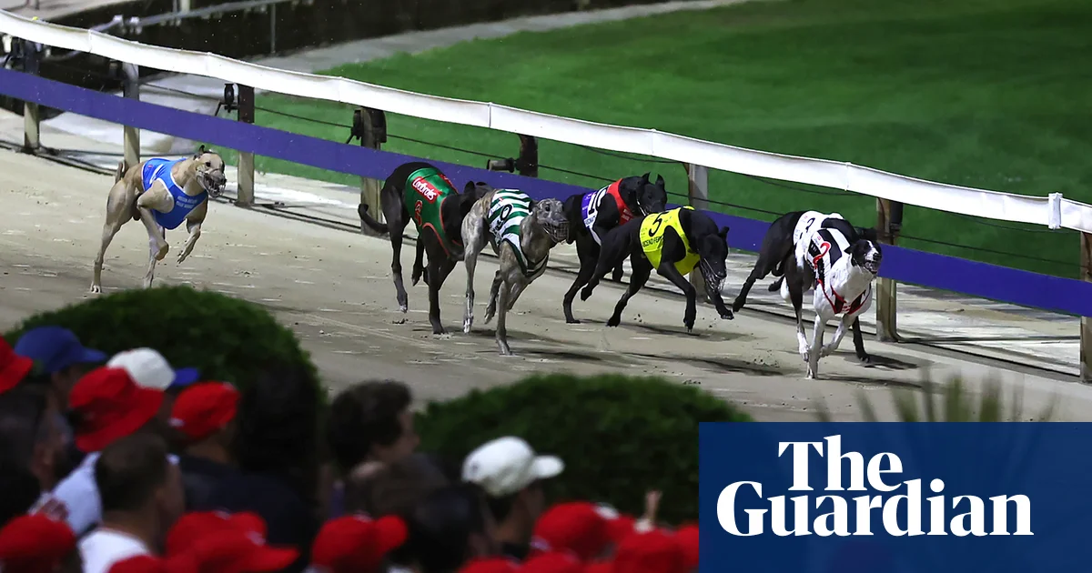 Sydney's historic 'Wenty' greyhound track closes after 94 years