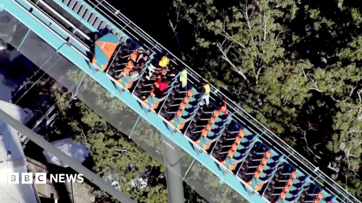 Инцидент на американских горках в Six Flags Over Georgia: один человек погиб