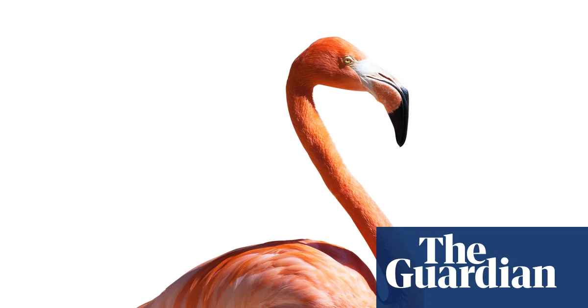The Guardian's Thursday news quiz: Liz Truss, Zacharia and other units of time