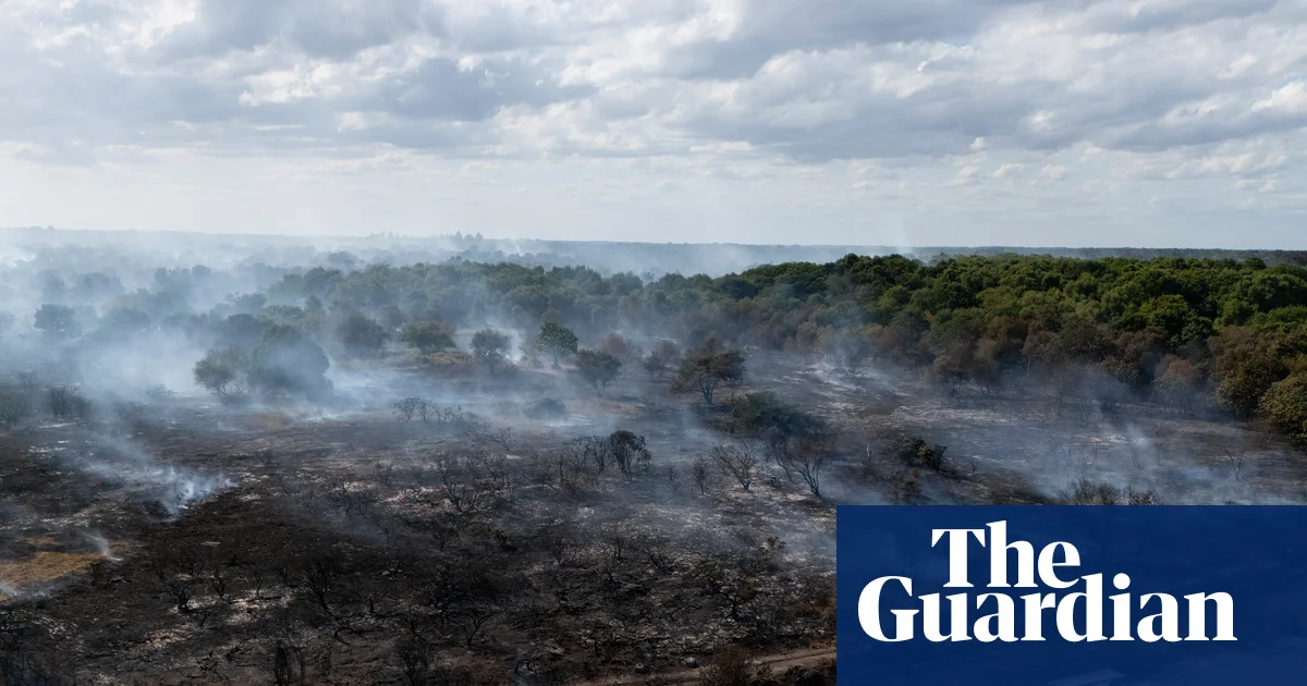 Government quietly dropped plan to prepare England for wildfires