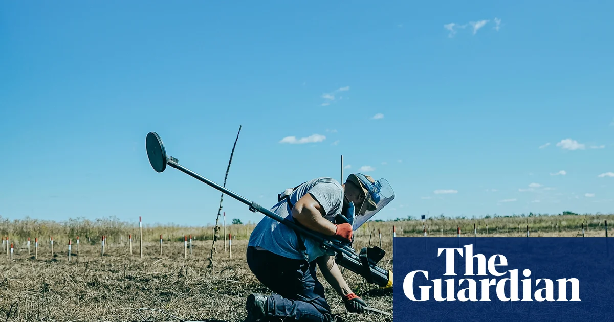 Украина усеяна минами: крупнейший кризис со времен Вьетнама